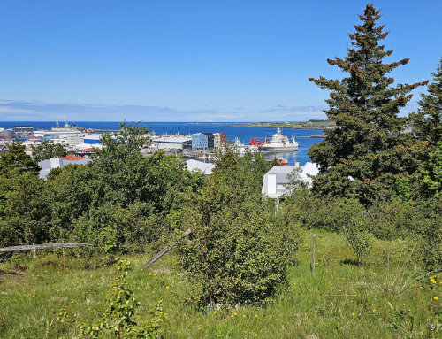 6.  Jófríðarstaðaholt