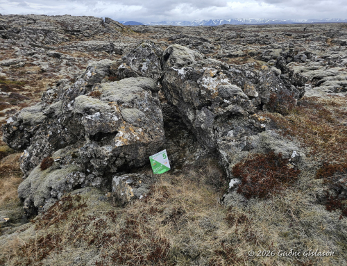 5. Litli-Rauðamelur